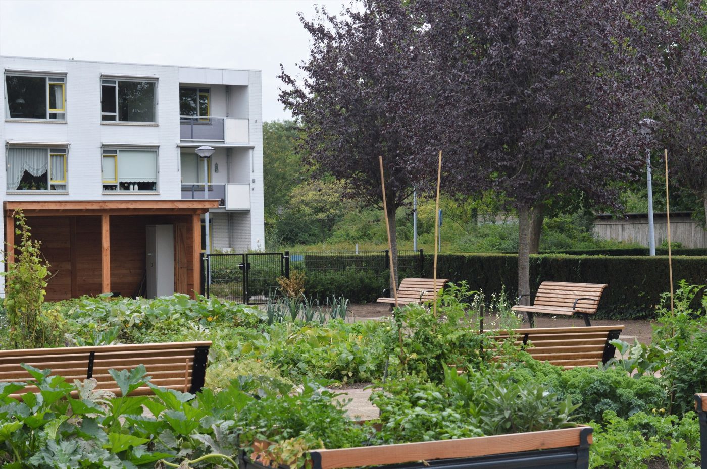 Aanleunwoning Ruimzicht